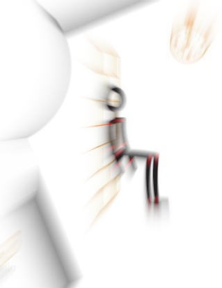 Functioneel Bewegingswiel